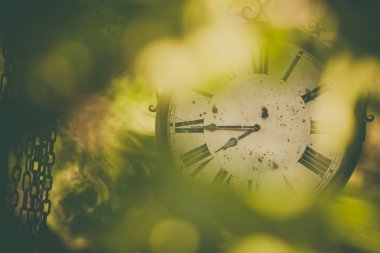 Vintage analog duvar saati Sot kadar kapatın.