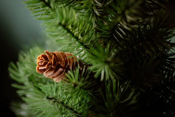 Color Image Fake Plastic Pine Cone — Stock Photo, Image