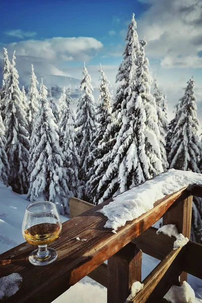 Alkol Bazı Ağaçlar Karla Tarafından Desteklenen Bir Bardak Bardak Kadar — Stok fotoğraf