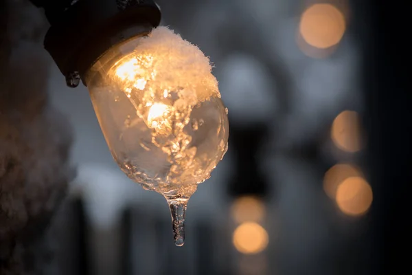 Цветное Изображение Замерзшей Лампочки — стоковое фото