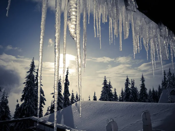 Kış Günü Bazı Buz Saçakları Ağaçların Görüntüsü — Stok fotoğraf