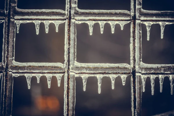 Primo Piano Colpo Una Recinzione Congelata Inverno — Foto Stock