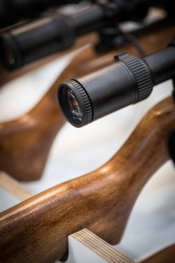 Kapsamları ile Tüfekler