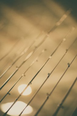 birçok balıkçılık çubuklar
