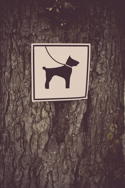 Leash on the dog mandatory — Stock Photo, Image