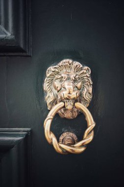 Aslan kafa metal kapı tokarı