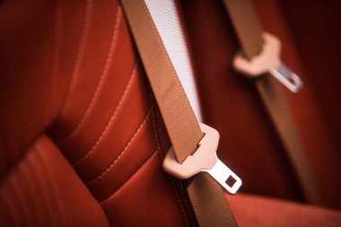 Modern bir arabada kahverengi emniyet kemeri