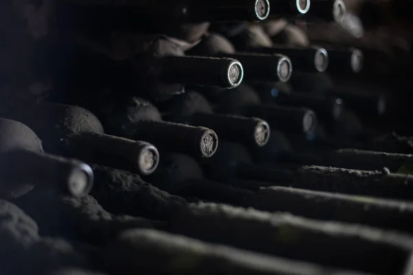 어두운 지하실에 낡고 먼지투성이 인 와인 병들 — 스톡 사진