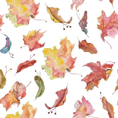 Elle çizilmiş suluboya arka plan şablonu. Sonbahar tohum ve özgün tasarım yapraklarında. Kafede sonbahar menüsünde için idealdir.