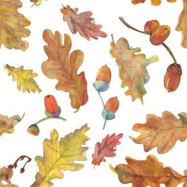 Suluboya elle çizilmiş raster sorunsuz doku sonbahar meşe yaprakları ve meşe palamutları wight arka plan ile.