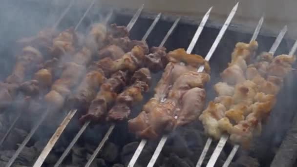Grilled meat on skewers. . Cooking picnic food. Controlling food preparation on grill. — Stock Video