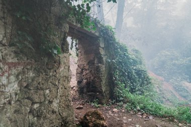 Yoğun sis mezarlıkta Orman korkunç eski giriş