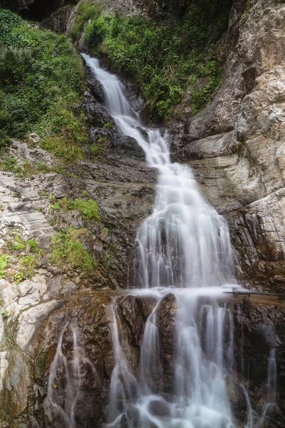 Pequena cachoeira com plantas e rochas em Rize, Turquia — Fotografia de Stock