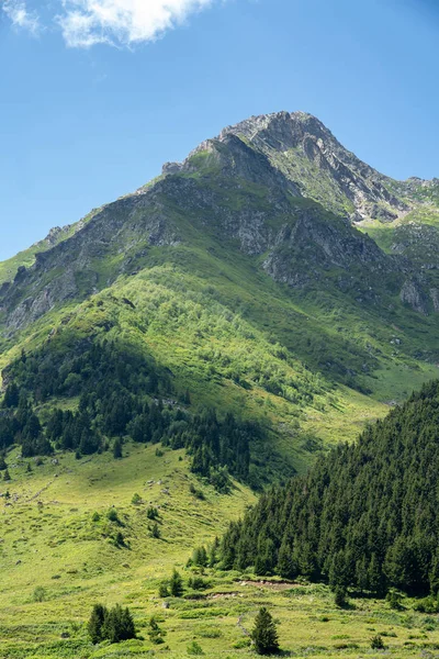 Montañas Kackar con verdes paisajes forestales n Rize, Turquía . —  Fotos de Stock