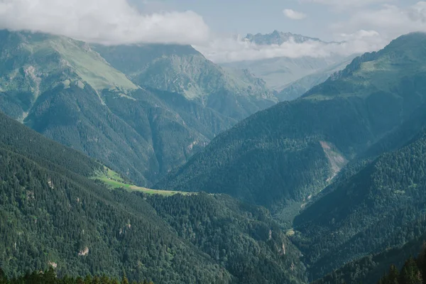 Montañas Kackar con verdes paisajes forestales n Rize, Turquía . —  Fotos de Stock