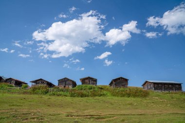 Eski ahşap bungalov ev doğada. Rize, Türkiye.