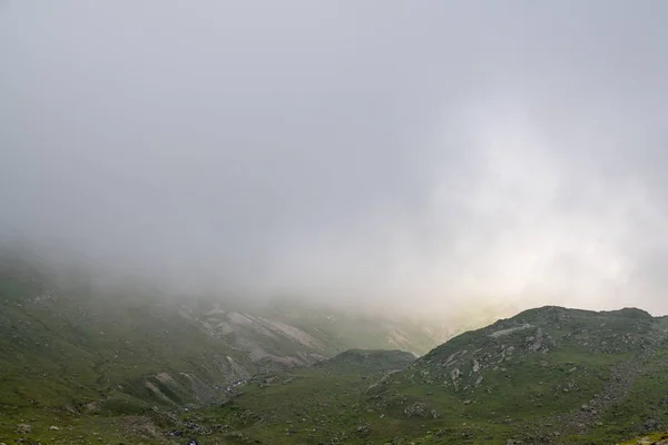 Прекрасний туманний луг. Густий туман над гірським лугом трави — стокове фото