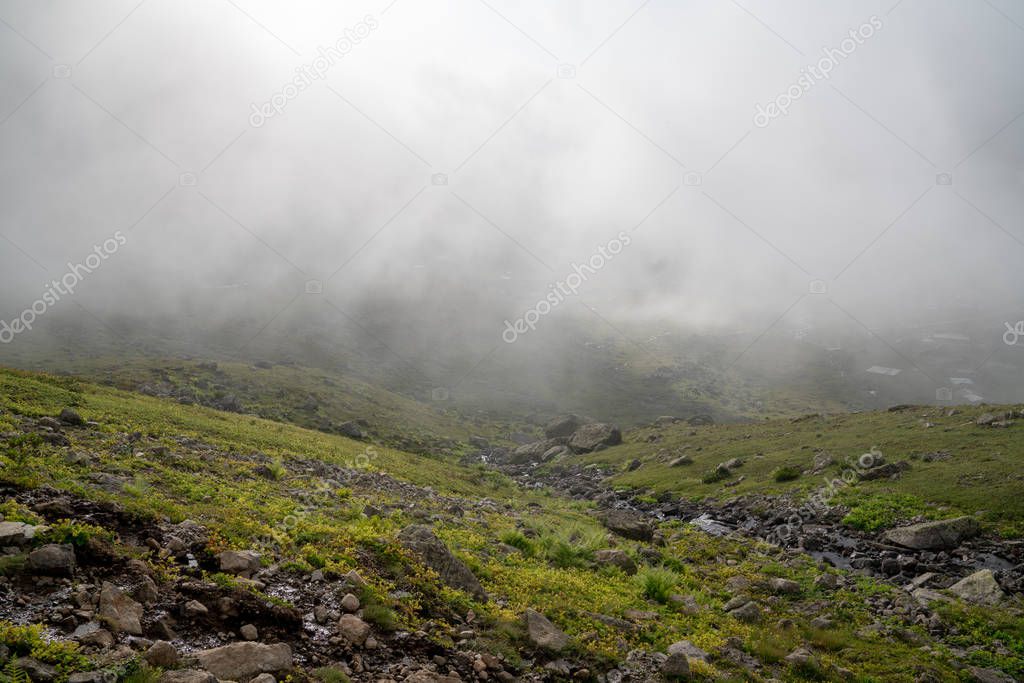Beautiful foggy meadow. Dense fog over mountain trough the grass meadow