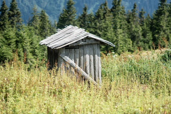Een houten hut op een groen grasveld tussen de bomen op het grondgebied van een landgoed — Stockfoto
