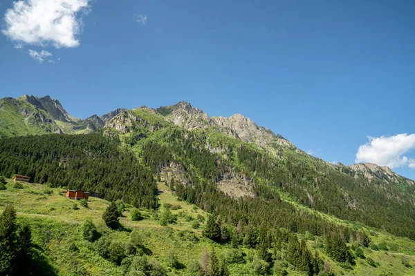 Kackar mountains with green forest landscape in Rize,Turkey. — Stock Photo, Image