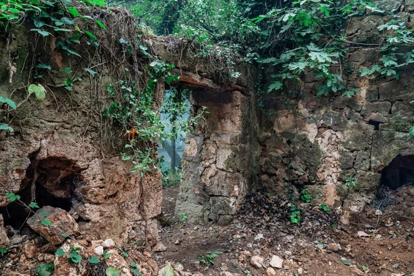 老废弃的石头门在森林里 哥特式遗址入口 — 图库照片