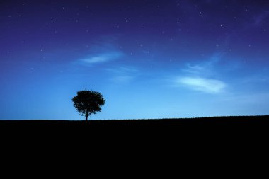 Yalnız ağaç siluet üzerinde yıldızlı gökyüzü. Gece manzarası