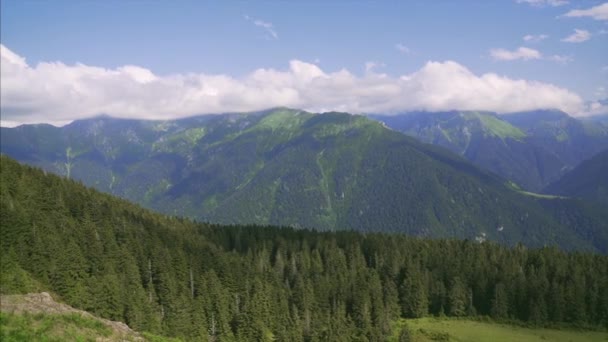 Kackar Mountains Green Forest Landscape Rize Turkey — стоковое видео