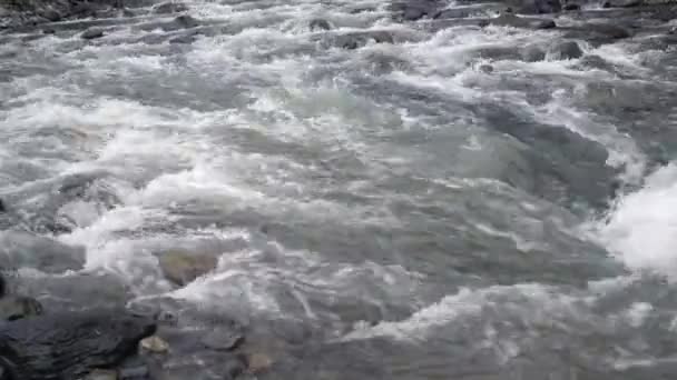 Szybka rzeka stream. Przepływ wody w rwąca rzeka strumień. Płynący strumień wody — Wideo stockowe