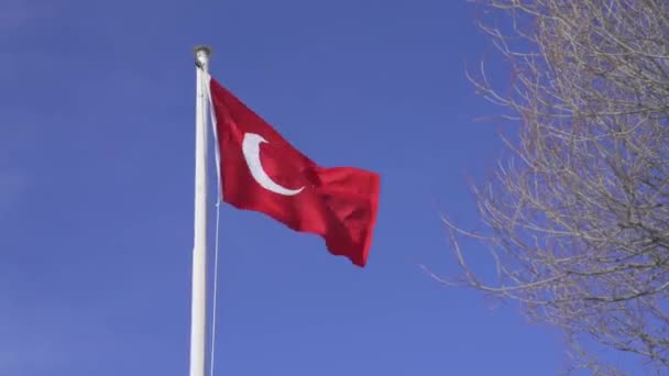 Flaggan av Turkiet på blå himmel vind bakgrund — Stockvideo