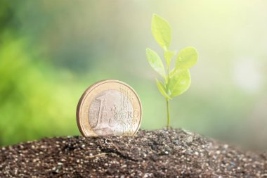 İş, kaydetme, büyüme, ekonomik kavram için üstte büyüyen bitki ile para