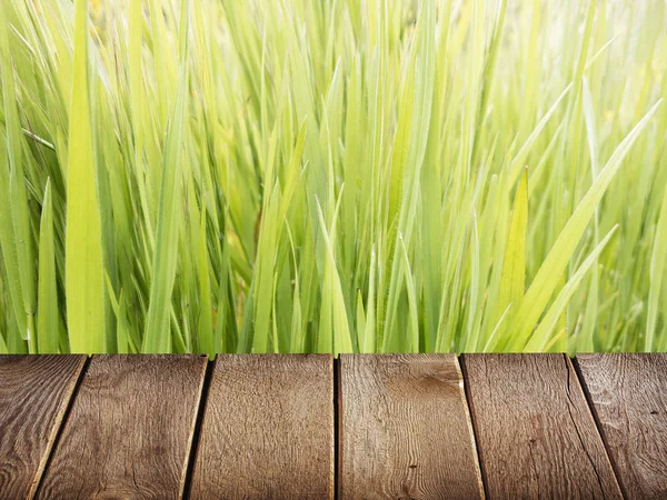 Töm rustikt bord framför grön bakgrund. produktens display. — Stockfoto