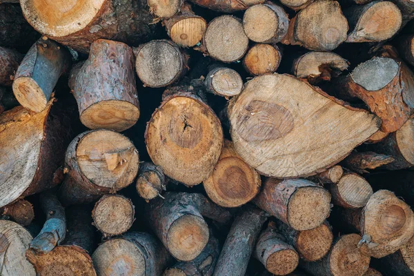 Een stapel houten boomstammen bereidt zich voor op de houtindustrie. — Stockfoto