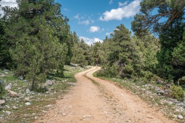 Güzel doğal manzara, dağ, orman ve yol. Güzel doğal manzara