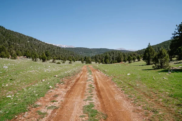 Beautiful natural landscape, mountain, forest and path. Beautiful natural landscape