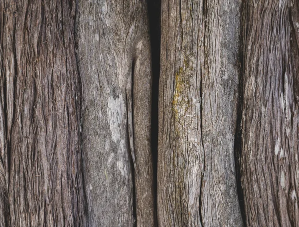 Hnědá kůra ze starého stromu. Pozadí kůry stromu closeup. — Stock fotografie