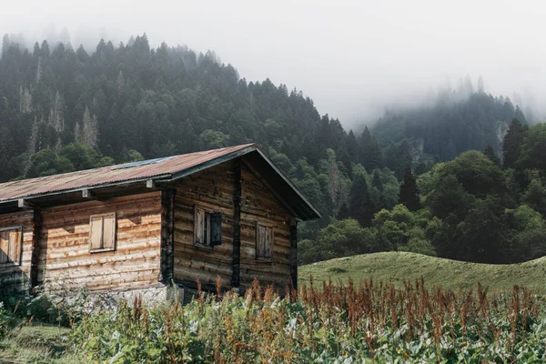 Doğadaki eski ahşap bungalov evi, sis ve dağ. Rize, Türkiye. — Stok fotoğraf