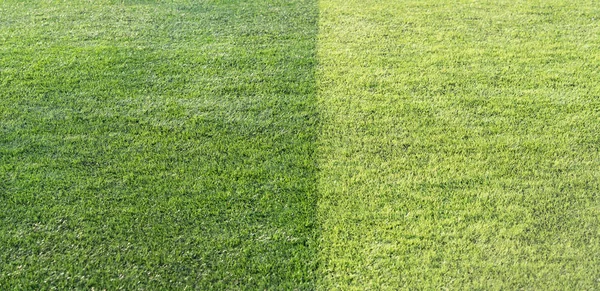 Bonito closeup de grama verde fresco para o esporte de futebol, campo de futebol — Fotografia de Stock