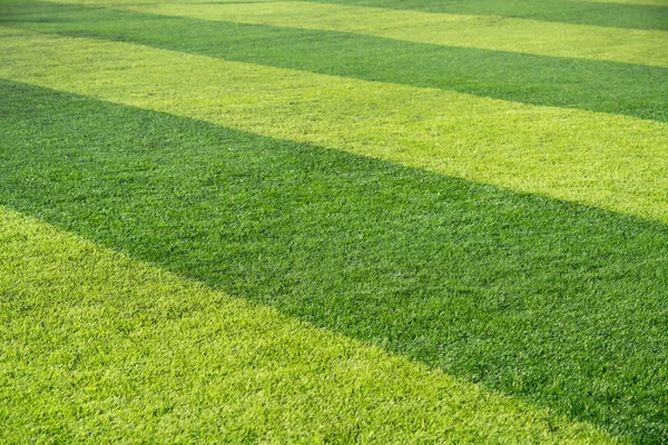 Bonito closeup de grama verde fresco para o esporte de futebol, campo de futebol — Fotografia de Stock