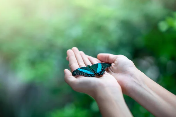 Mariposa en la mano de las mujeres contra el fondo verde natural . — Foto de Stock