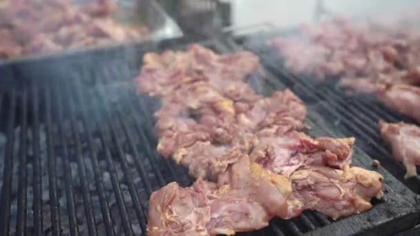 Close up of grilled chicken with smokes on barbecue grill — Stock Video