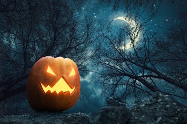 Cadılar Bayramı için korkutucu ormanda ürkütücü balkabağı feneri.