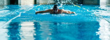 Profesyonel yüzücü kapalı yüzme havuzunda egzersiz yapıyor.