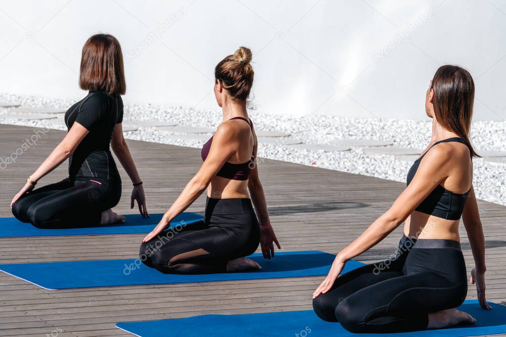 young womens are doing yoga in zen garden