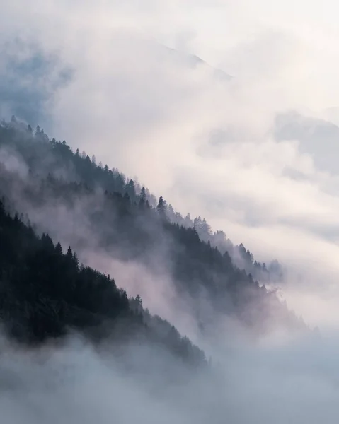 Niebiański widok na nastrojowy ciemny las z chmurą i mgłą. — Zdjęcie stockowe