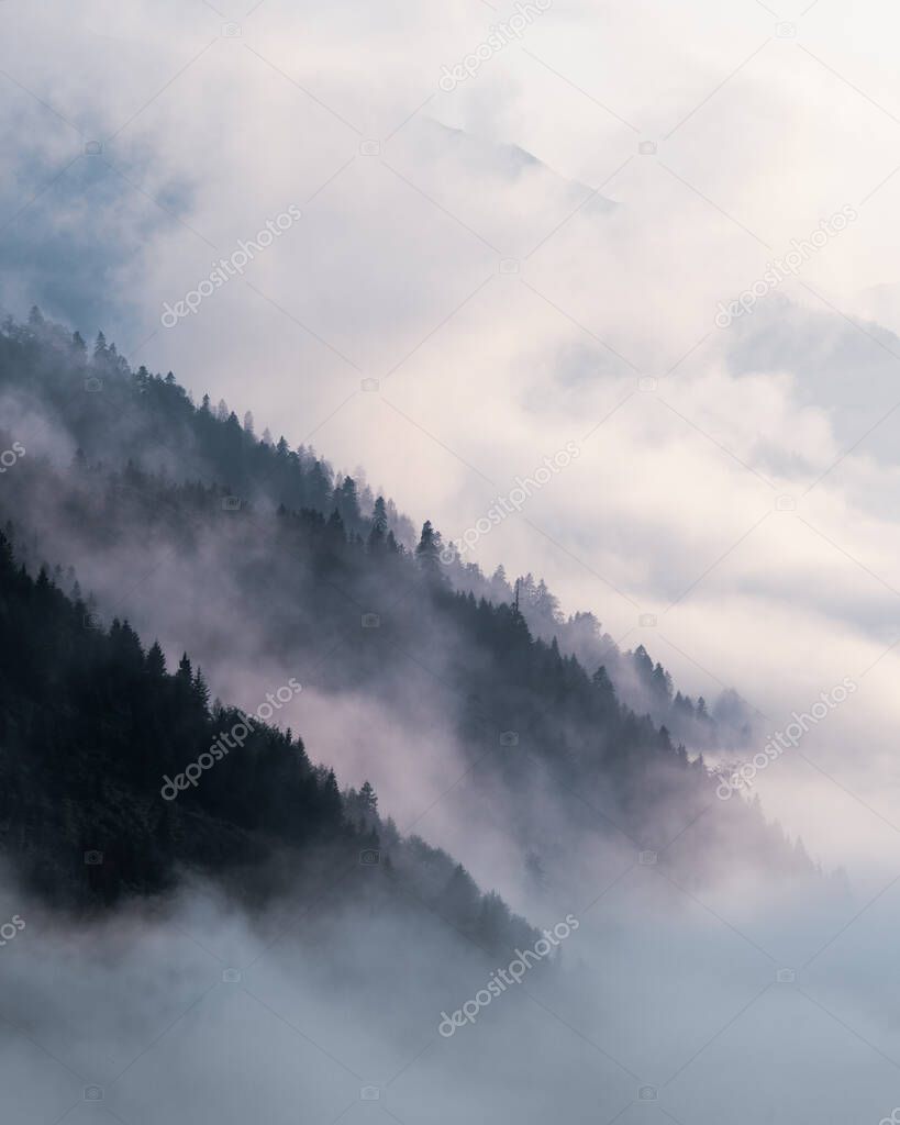 Heavenly view of a moody dark forest landscape with cloud and mist.