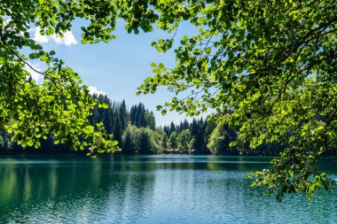 Etrafı yeşil yapraklarla çevrili güzel bir göl manzarası. Doğa ve Seyahat Turizmi.