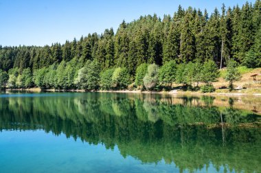 Açık mavi gökyüzünün altında güzel bir göl ve orman manzarası. Doğa ve Seyahat Turizmi.