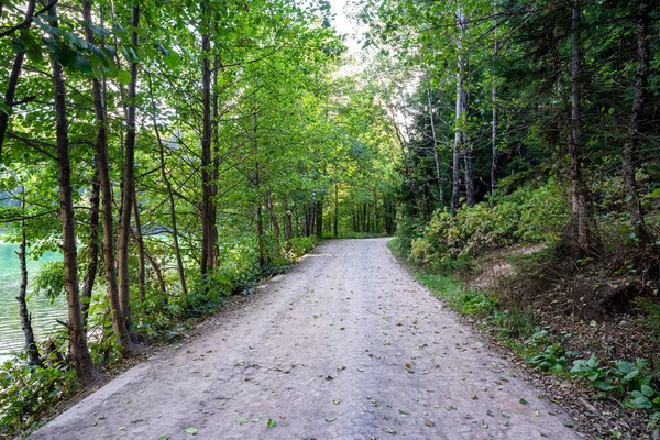 Uma bela estrada de floresta, caminho ao lado da tranquila margem do lago e da floresta. — Fotografia de Stock