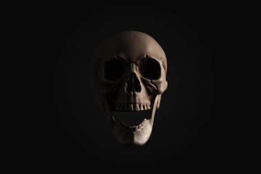 Kara Arkaplan 'da izole edilmiş insan kafatası. Yüksek kalite fotoğraf