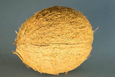 whole coconut lay on a dark blue background
